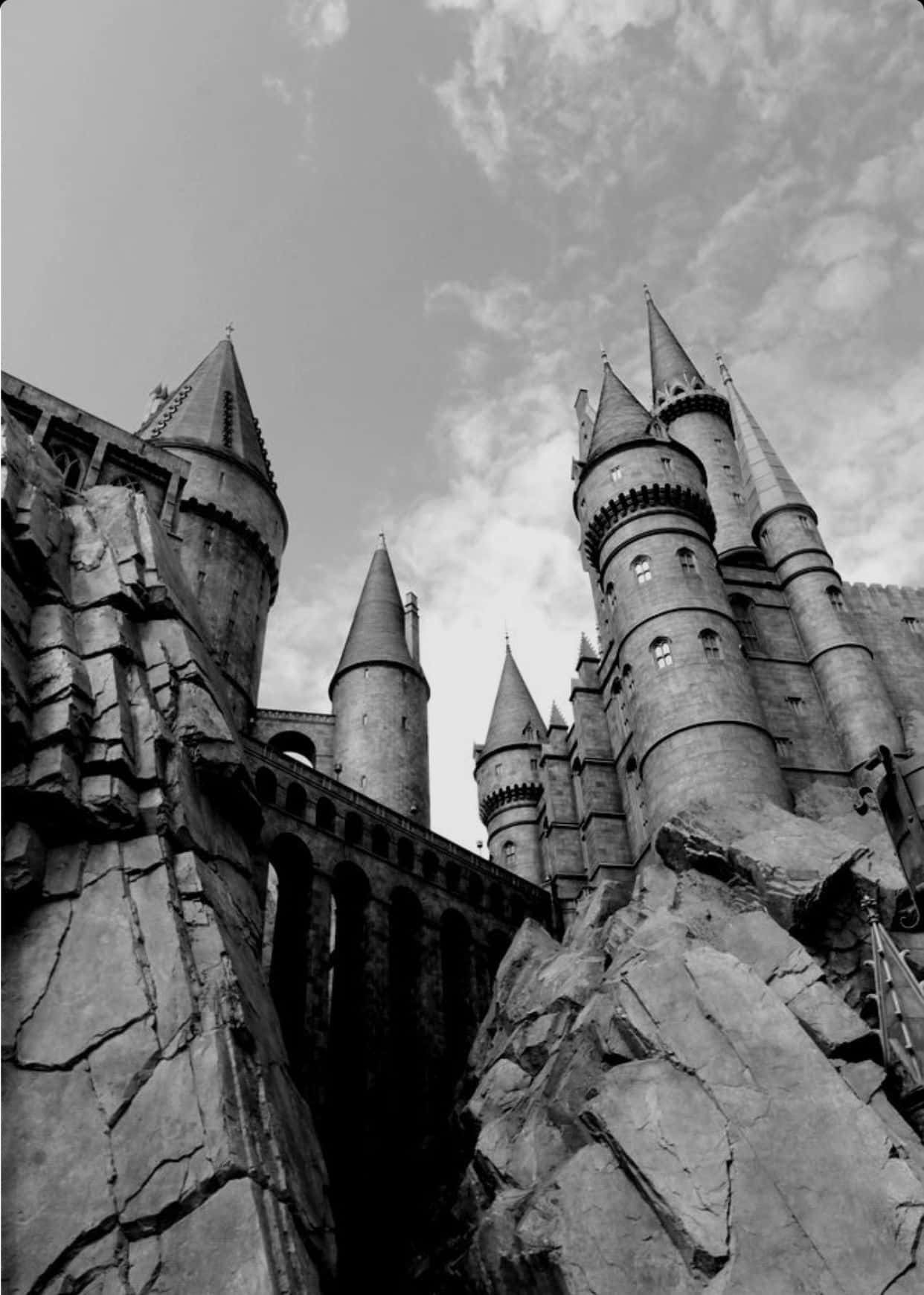 Facing His Destiny - Harry Potter And The Black And White Background
