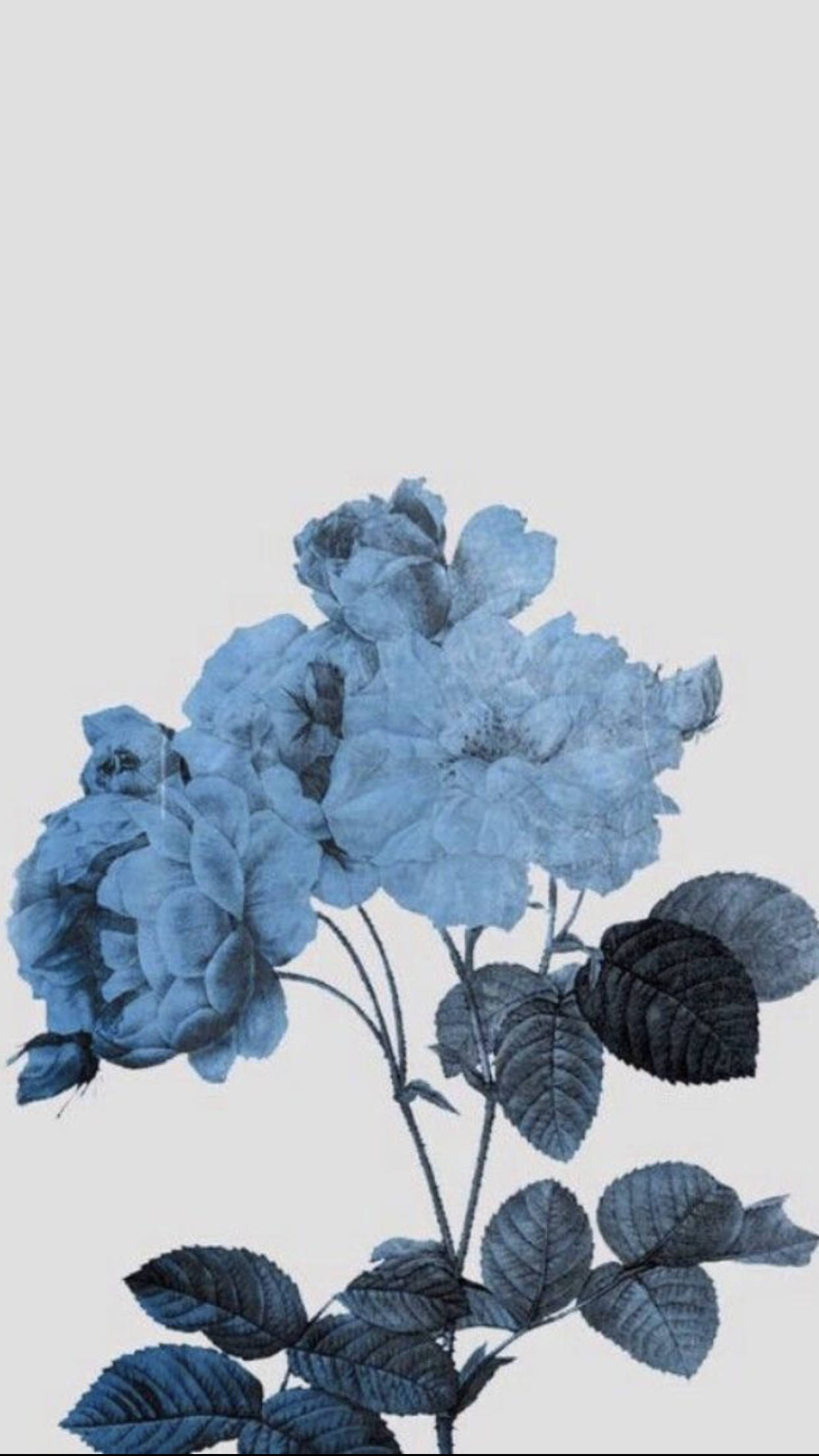 Faded Blue Flowers - An Aesthetic Pinterest Masterpiece Background