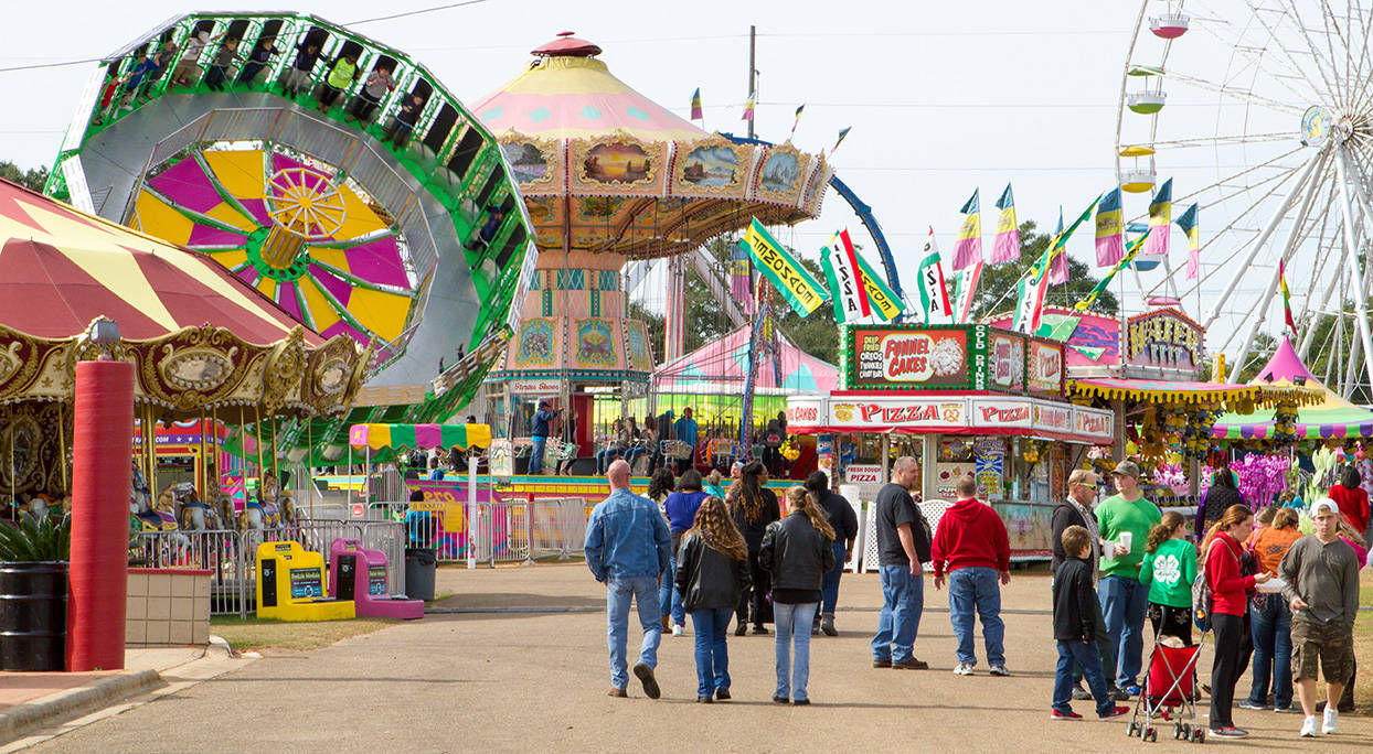 Fair With Different Rides Background