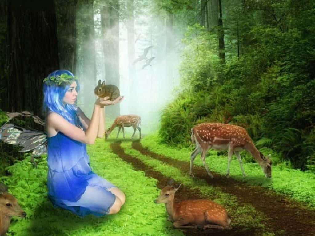 Fairy Forest Art Background