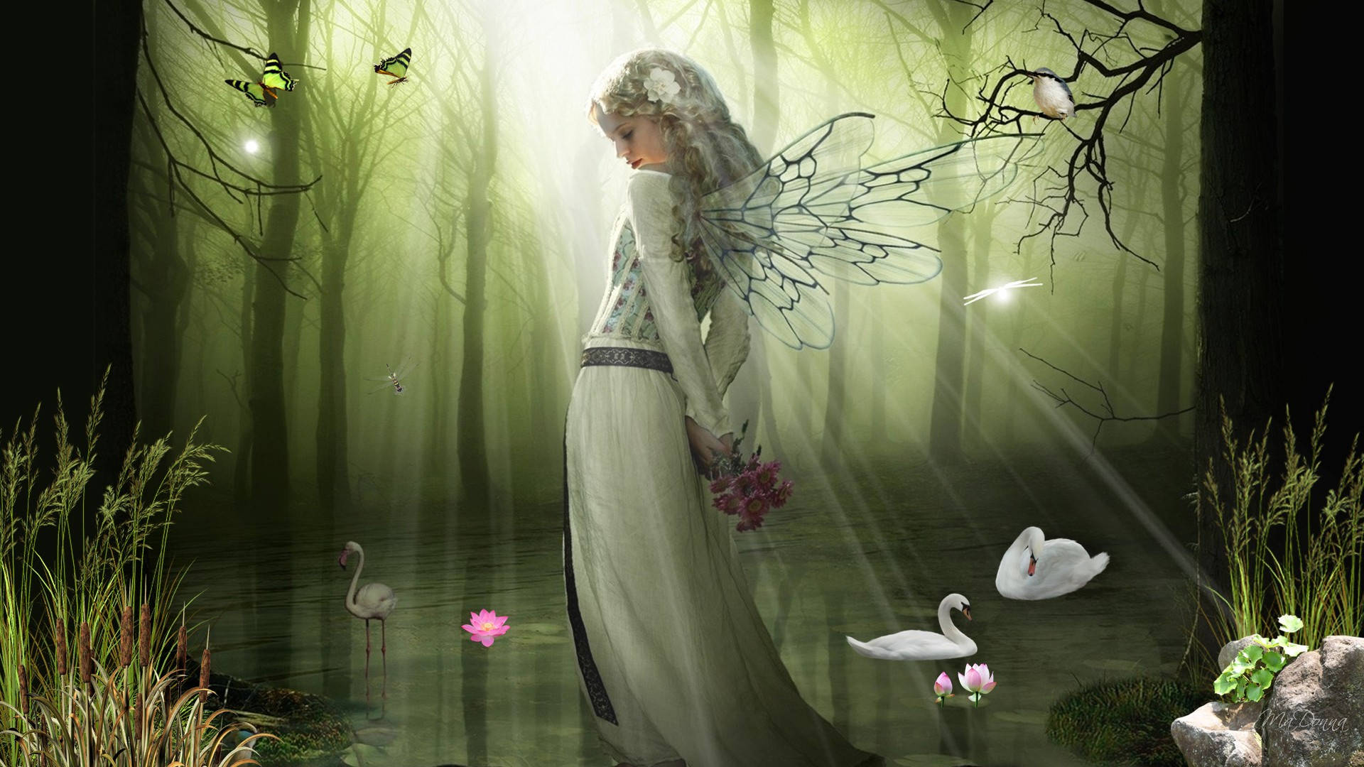 Fairy Grunge On The Pond Background