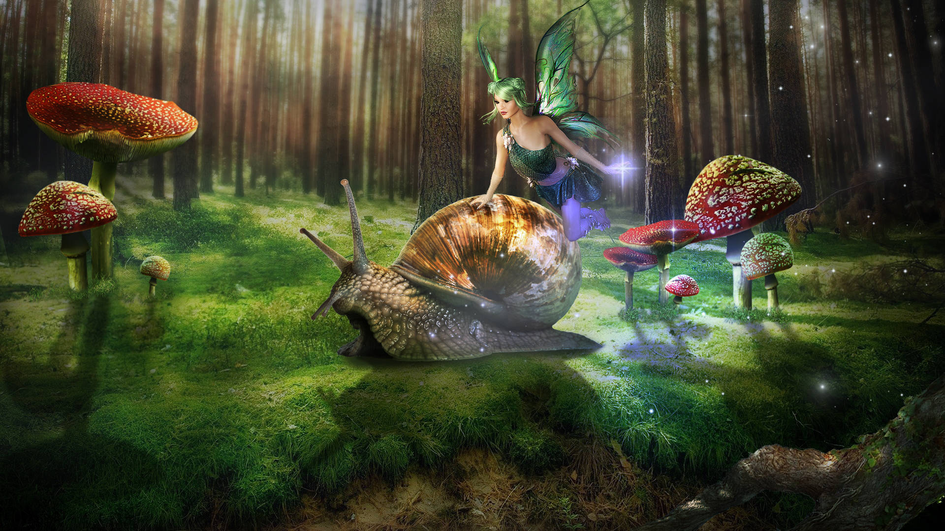 Fairy Grunge Snail Friend Background
