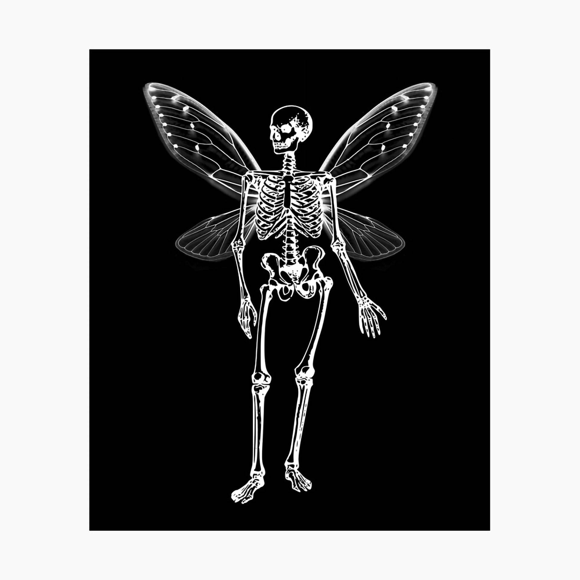 Fairy Grunge Wings For Skeleton Background