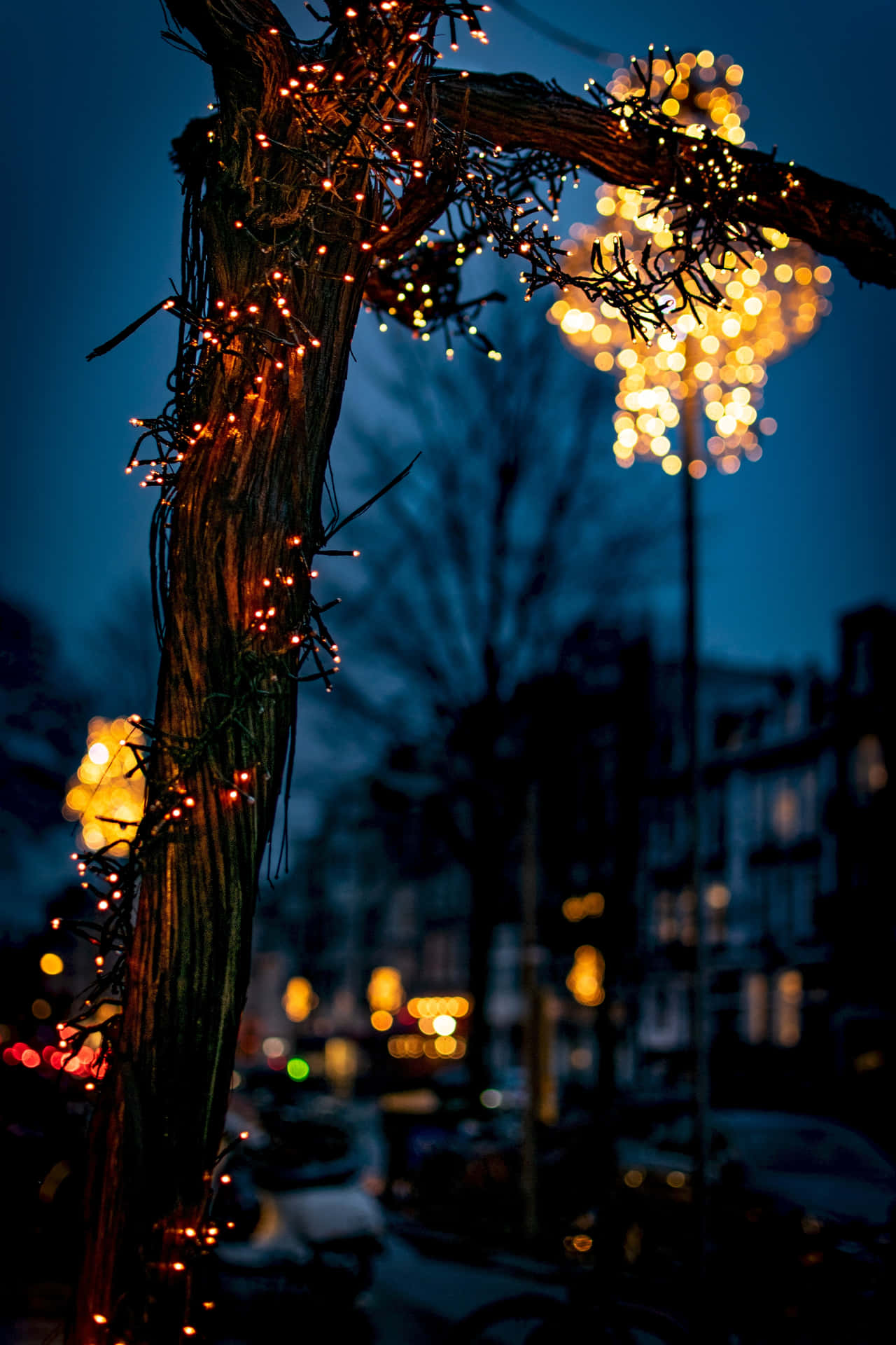 Fairy Lights On Wood During Evening Background