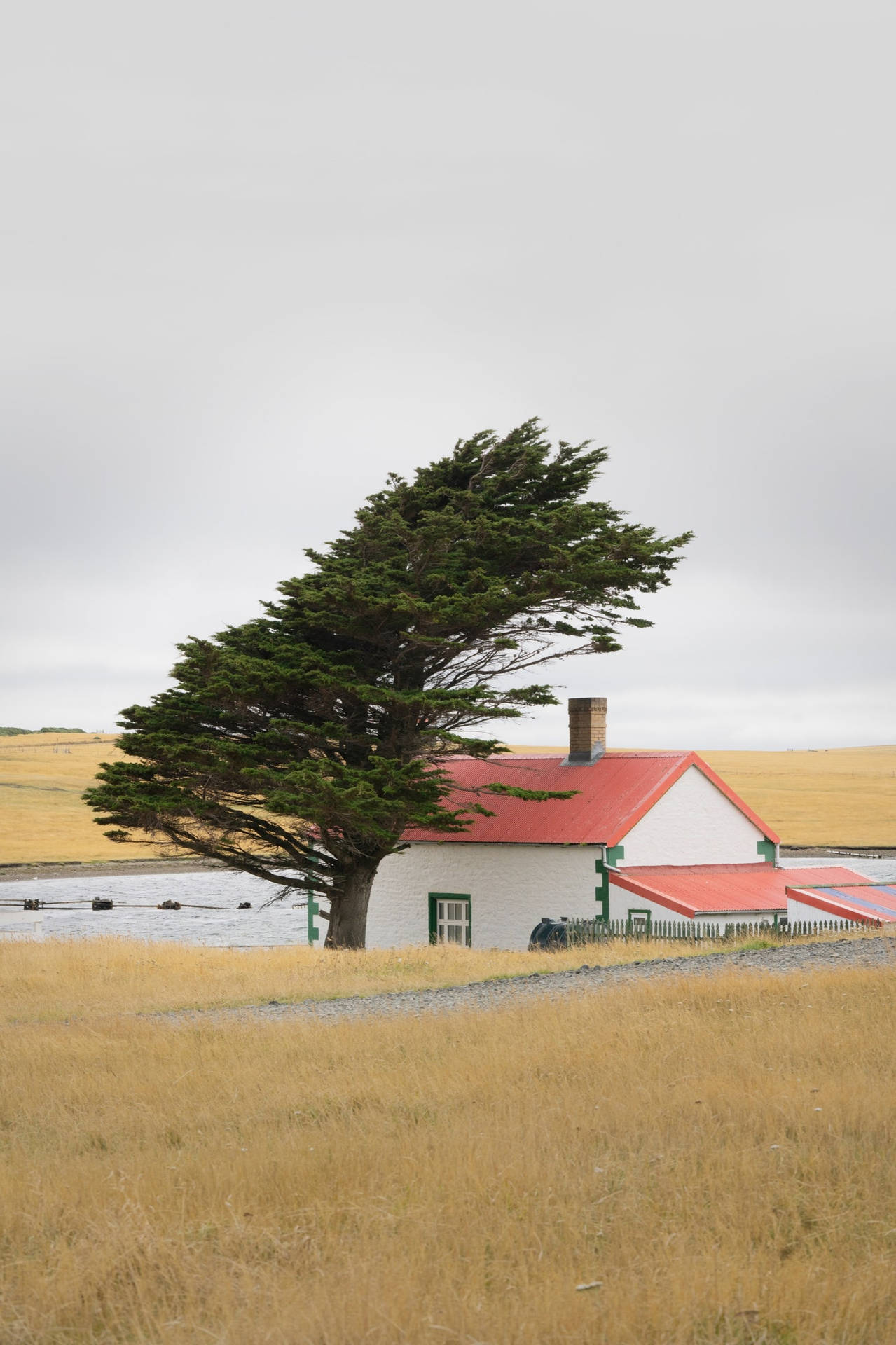 Falkland Island South America Background