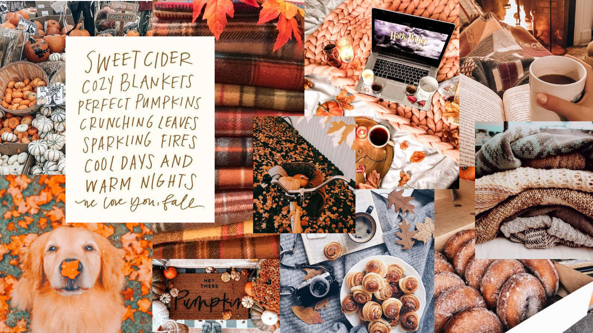 Fall Aesthetic Collage Desktop Background