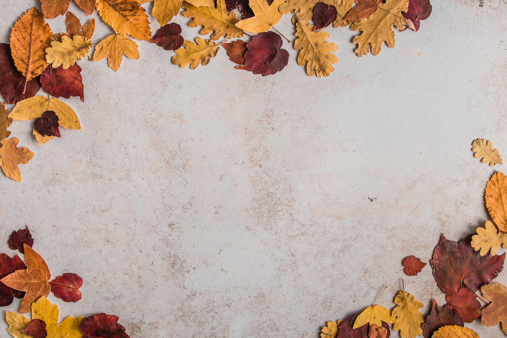 Fall Aesthetic Dried Leaves Background