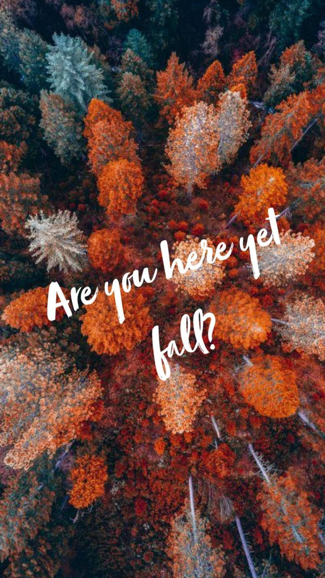 Fall Aesthetic Iphone Are You Here