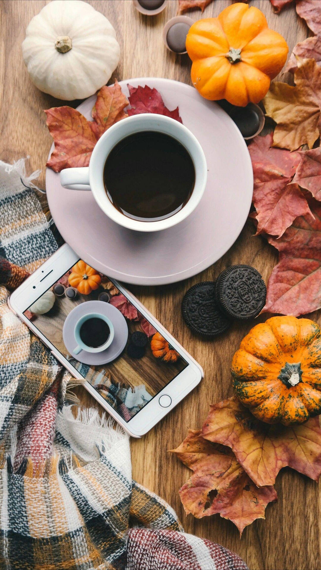 Fall Aesthetic Iphone Coffee Pumpkins Background