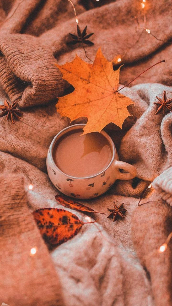 Fall Aesthetic Iphone Leaf And Drink Background