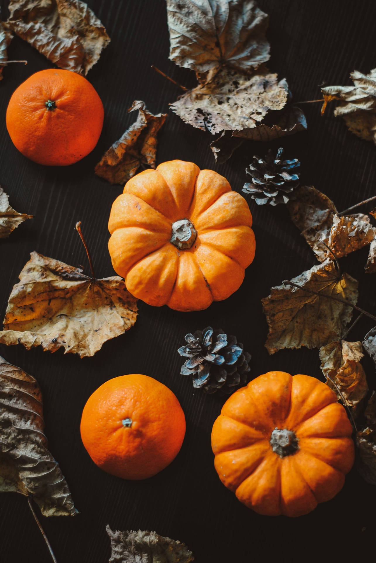 Fall Aesthetic Iphone Leaves And Pumpkins