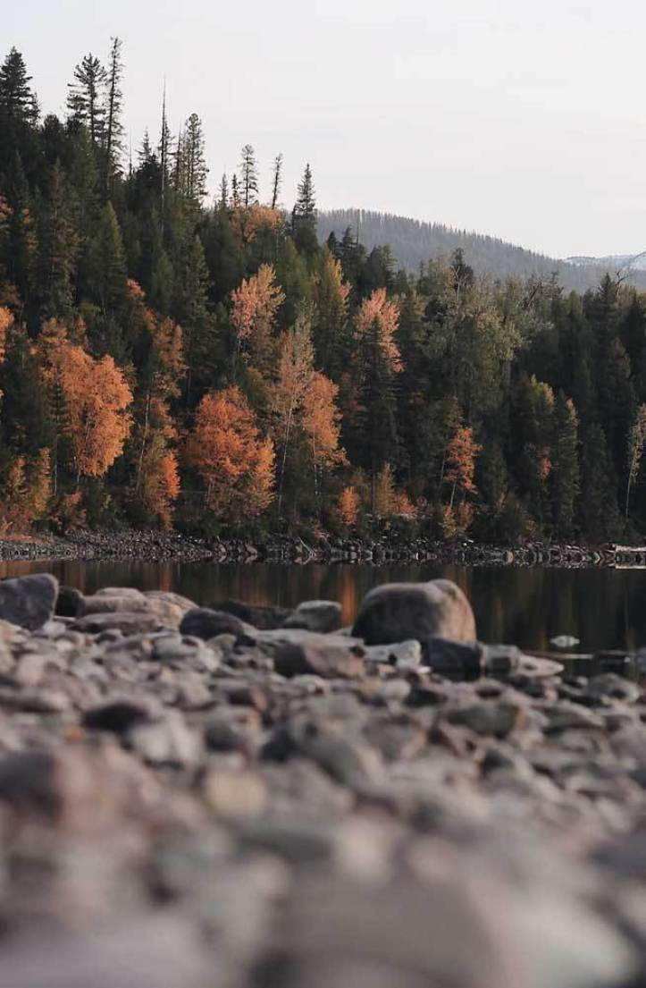 Fall Aesthetic Iphone Rocky Pond Trees Background