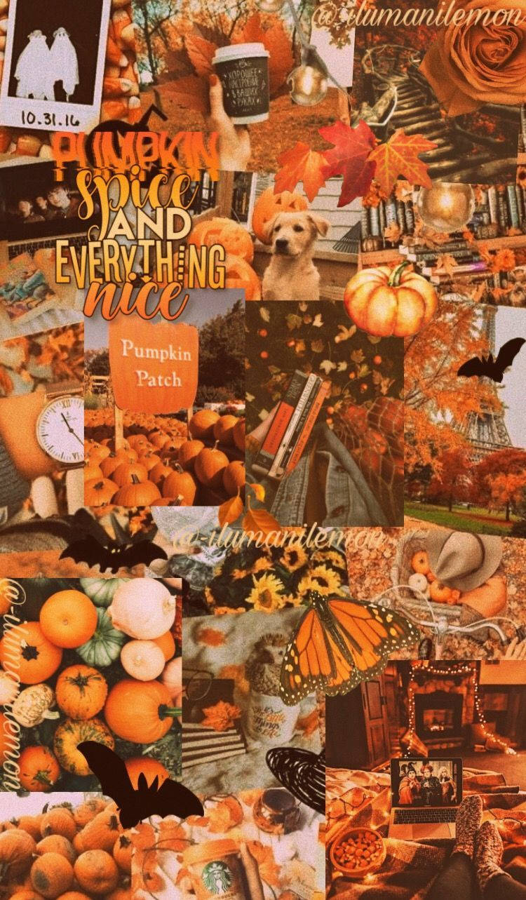 Fall Aesthetic Iphone Spice Collage