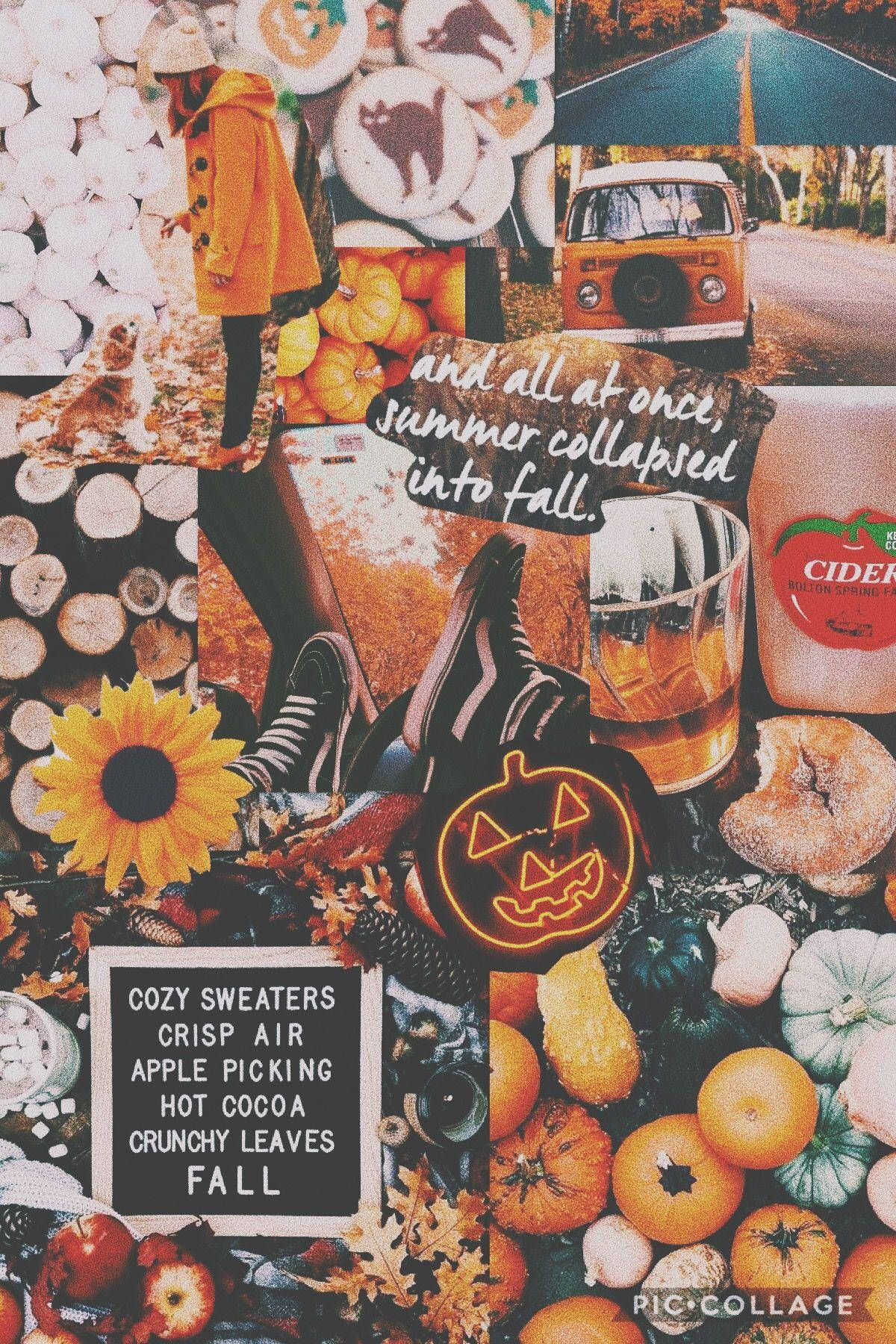 Fall Aesthetic Iphone Van Menu Collage Background