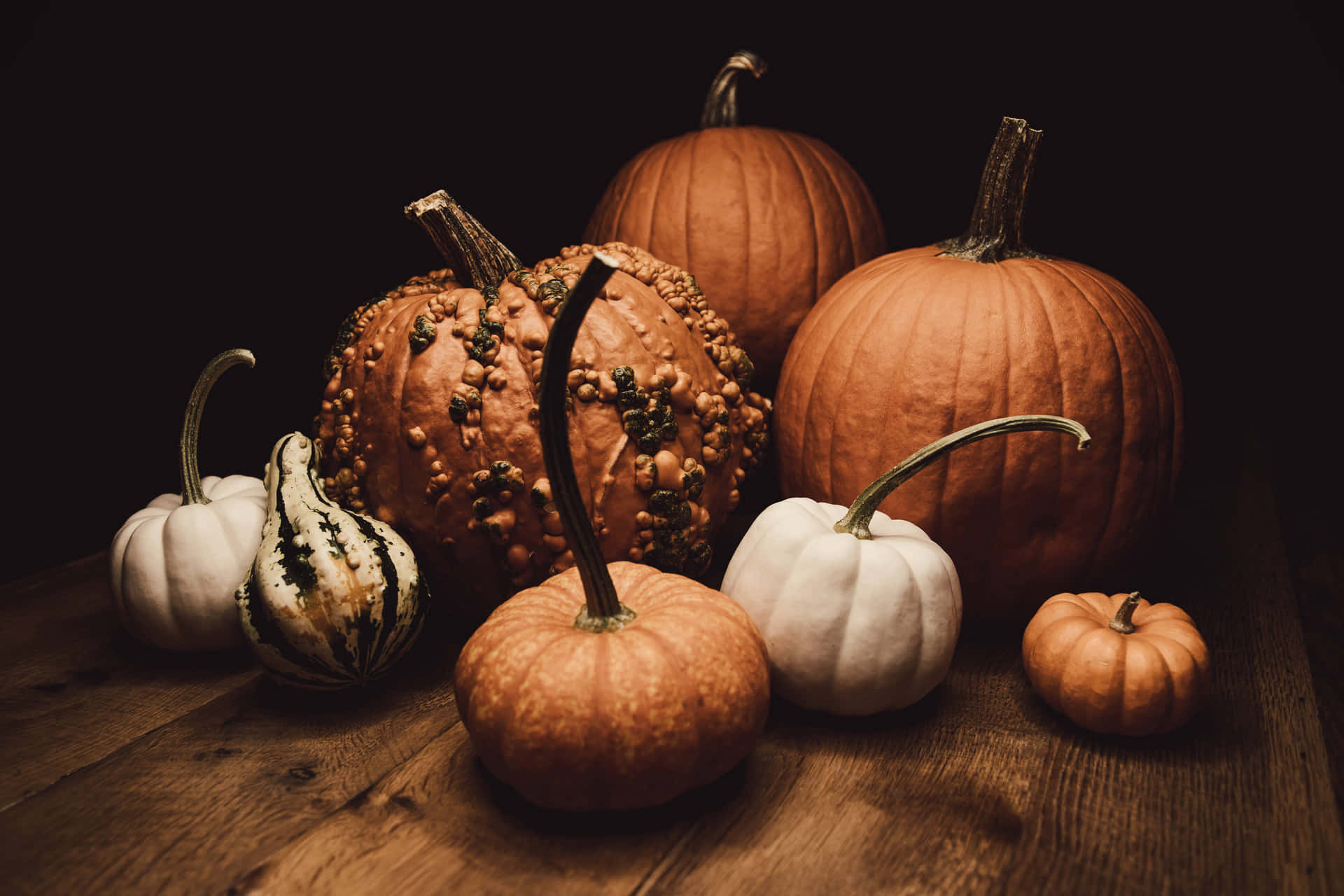 Fall Aesthetic Macbook Different Pumpkins Background