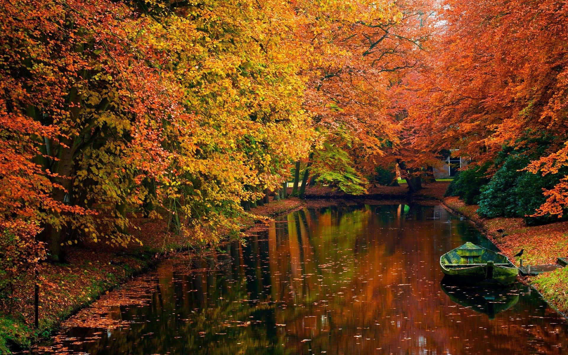 Fall Aesthetic Macbook Lake And Boat Background