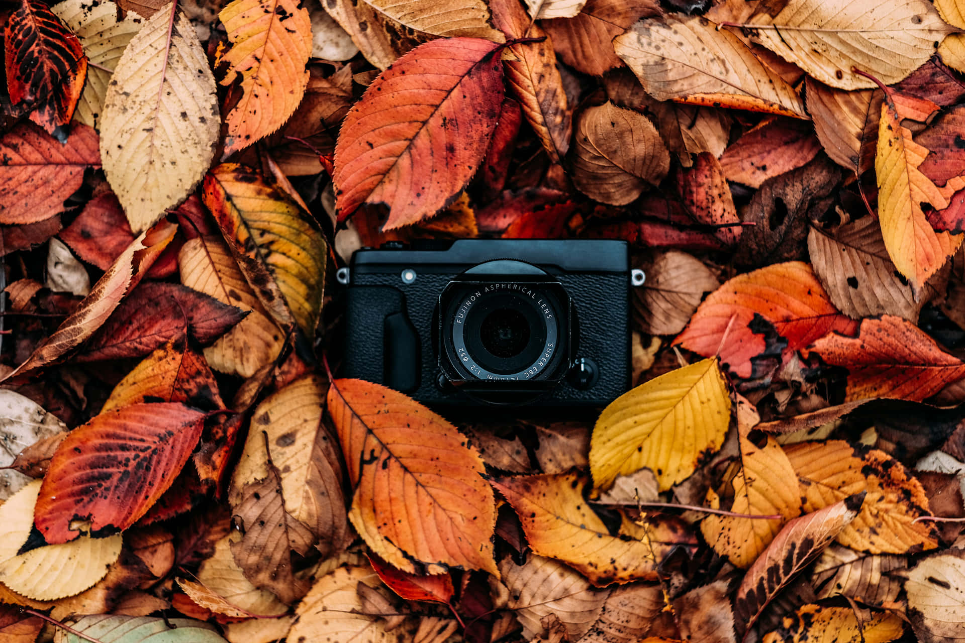 Fall Aesthetic Macbook Leaves And Camera Background