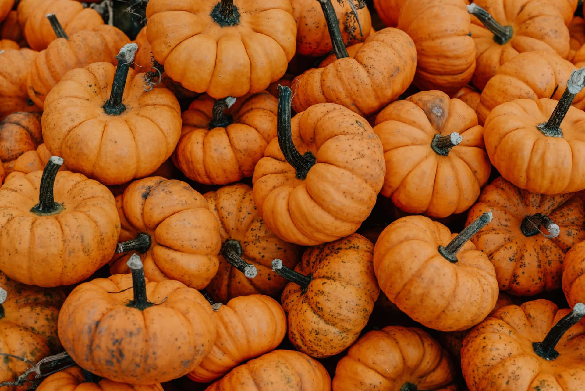 Fall Aesthetic Macbook Pumpkins Background