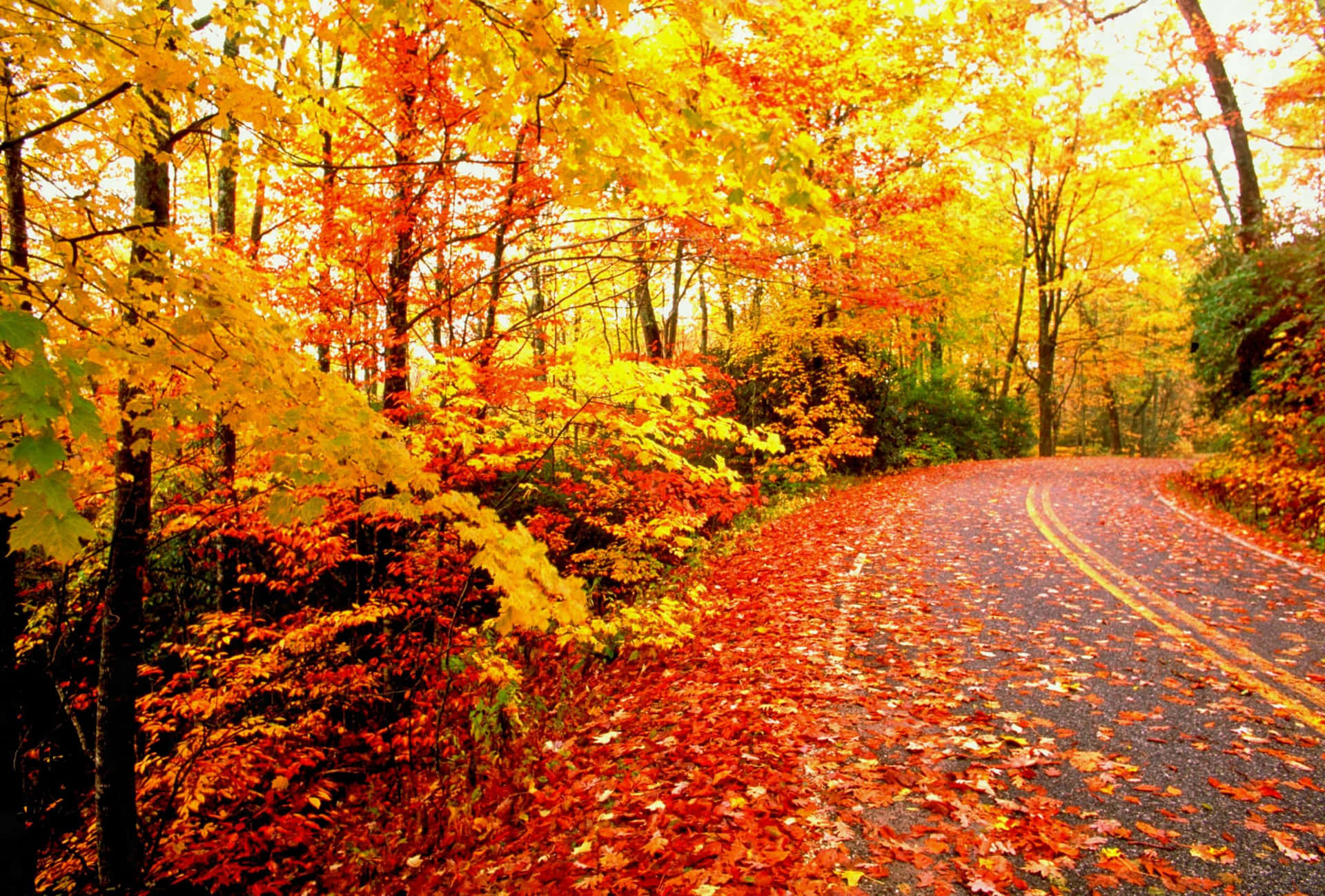 Fall Aesthetic Macbook Road Background