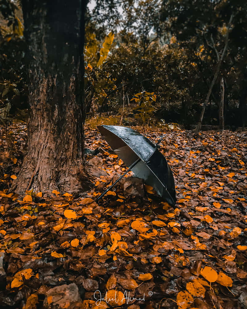 Fall Aesthetic Macbook Umbrella Background