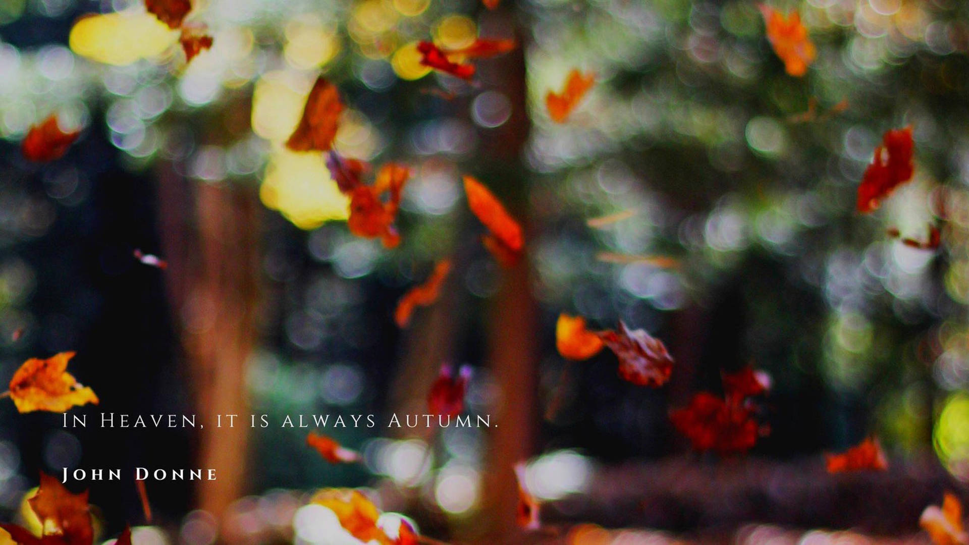 Fall Aesthetic Quote Background