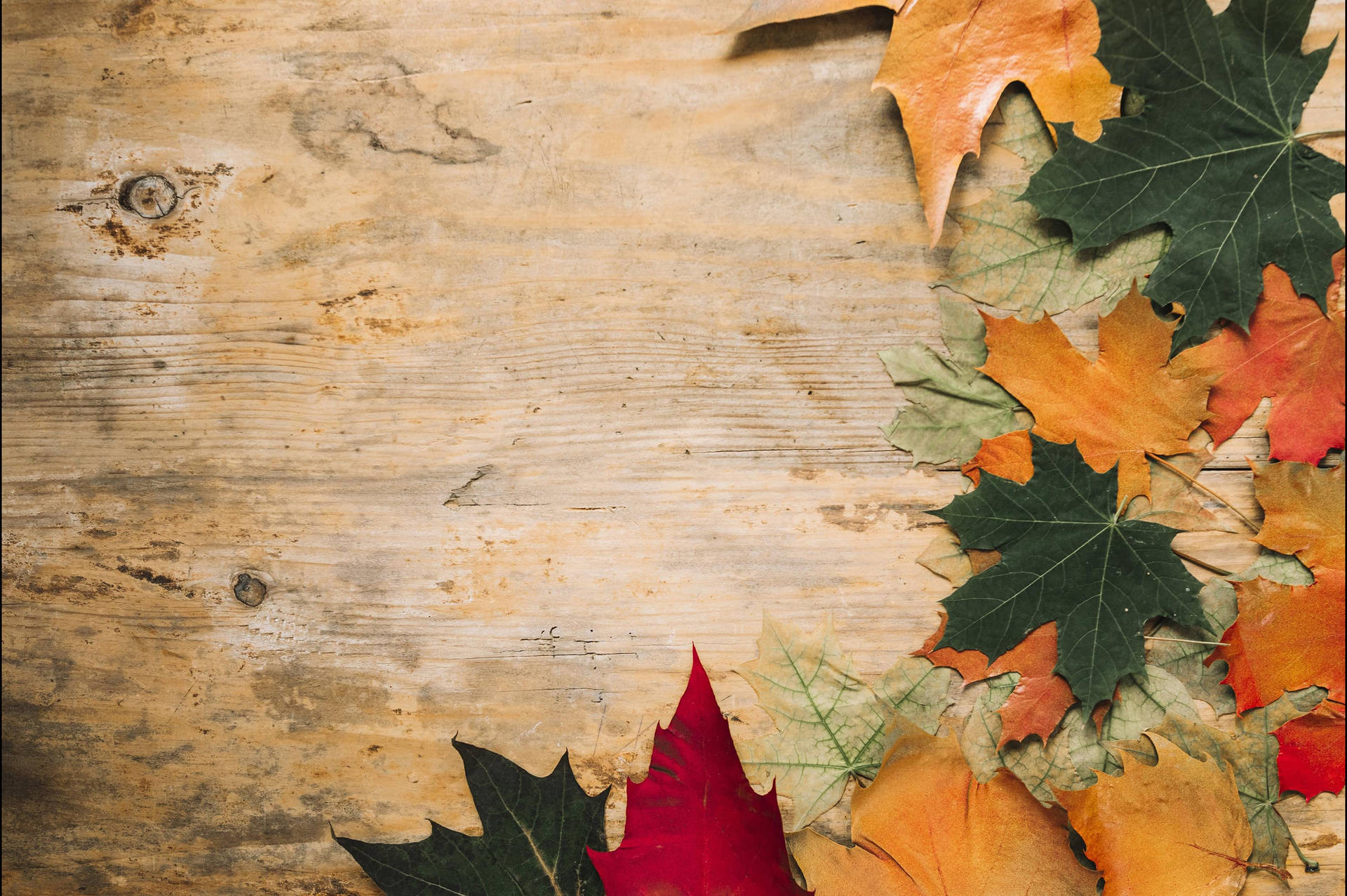 Fall Aesthetic Wood Background