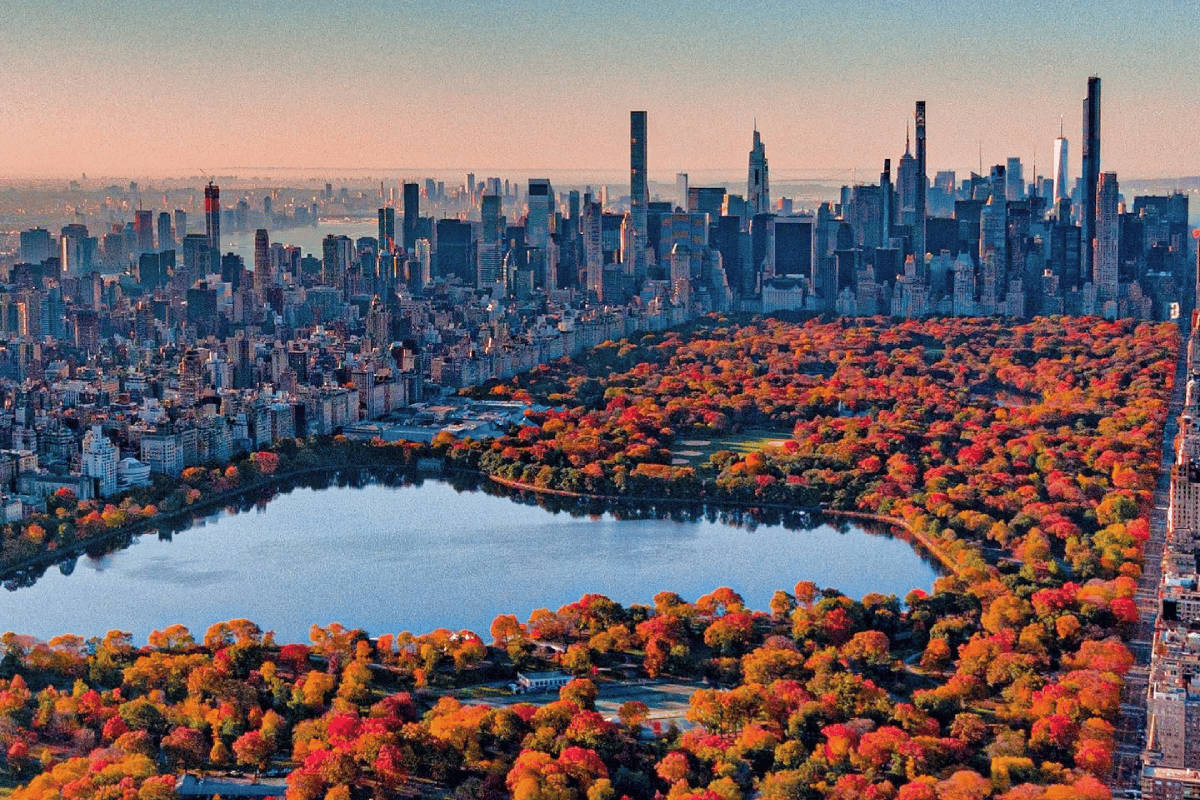 Fall Central Park New York Computer Background