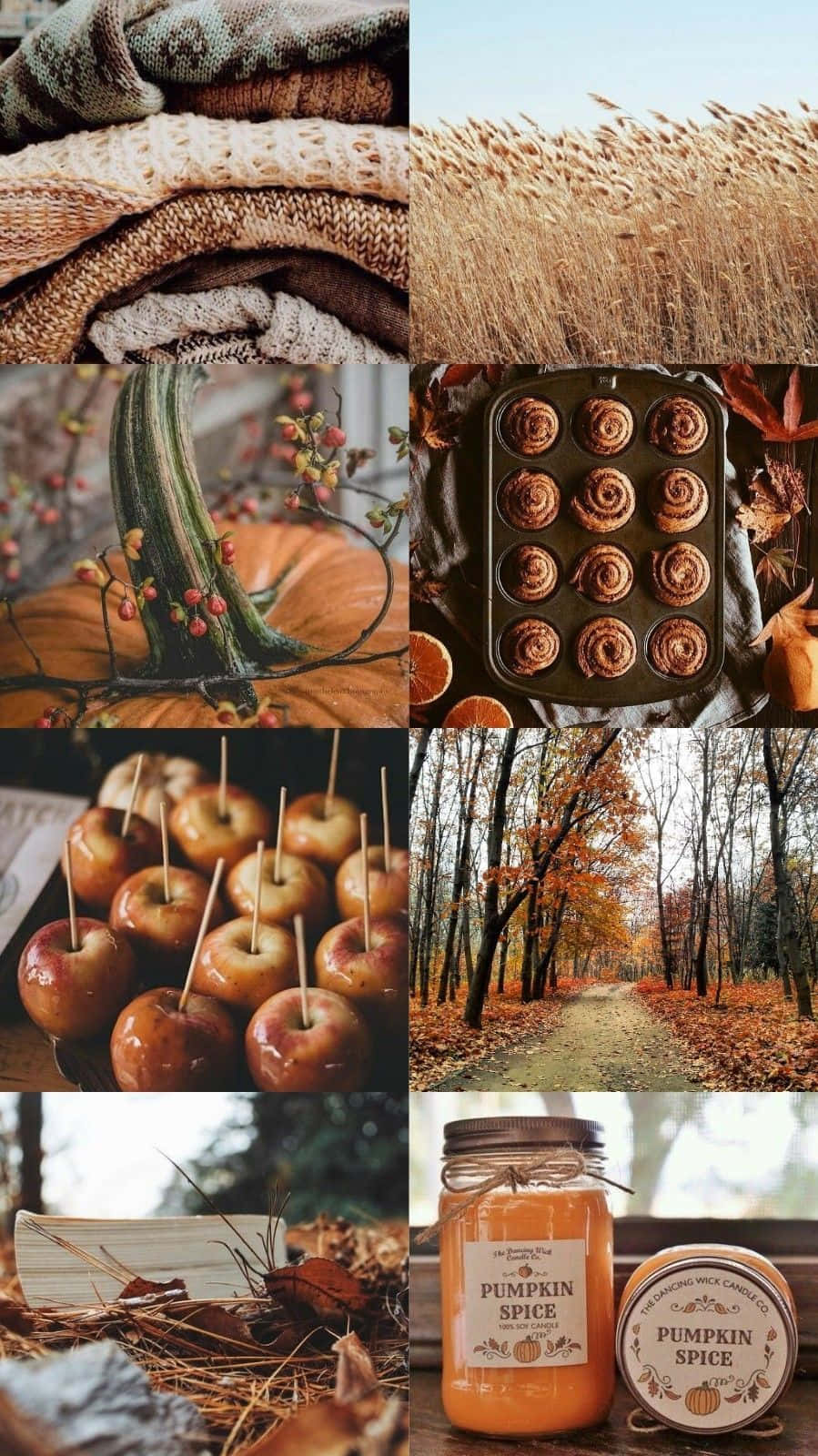 Fall Collage Candied Apples And Cinnamon Rolls Background