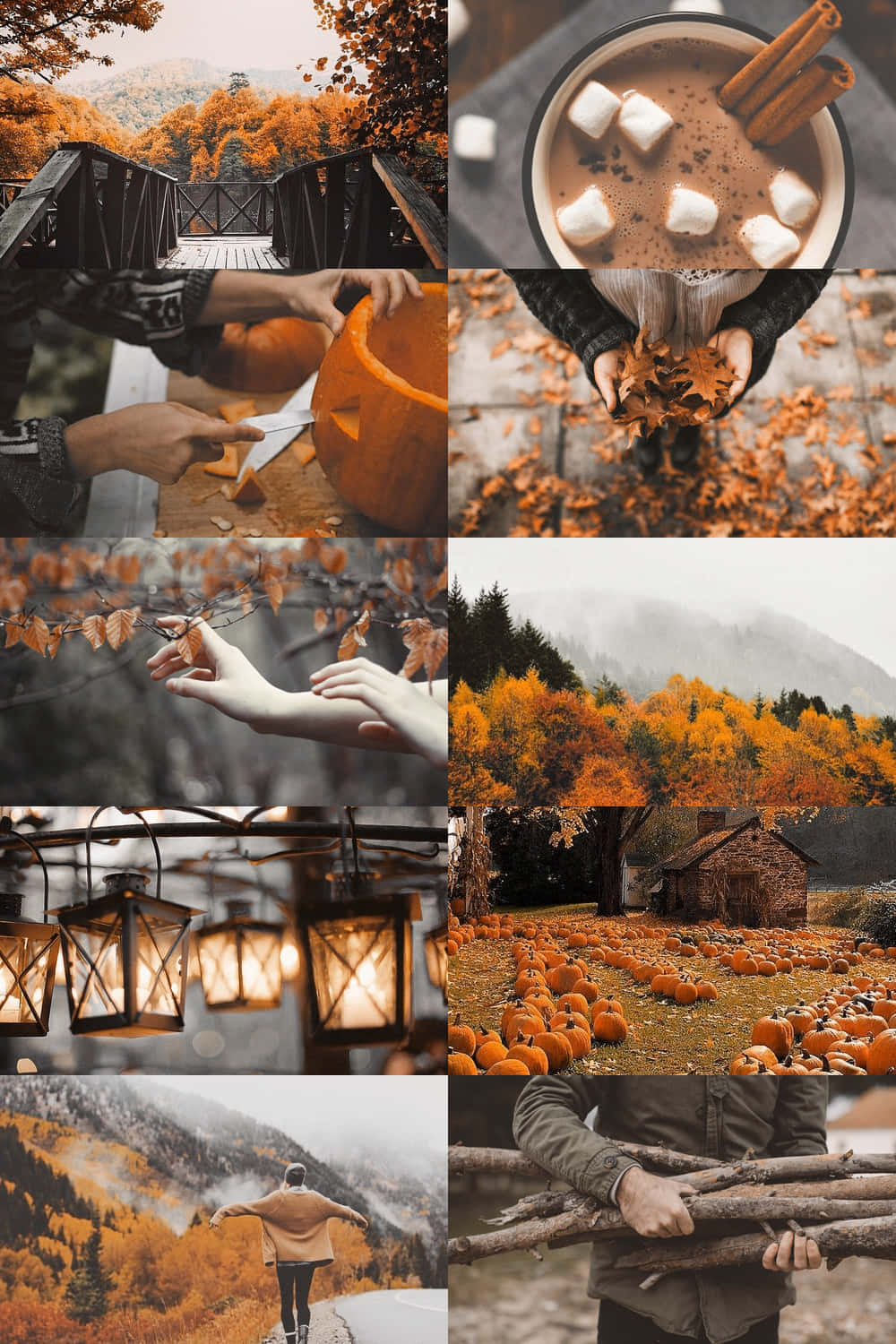 Fall Collage Cold Weather In Orange Aesthetic Background