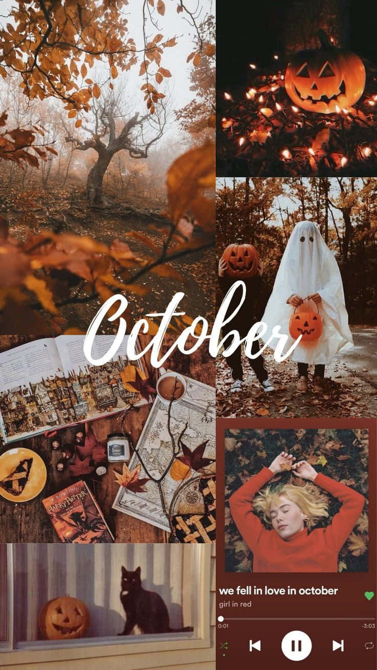 Fall Collage Desktop Display Background