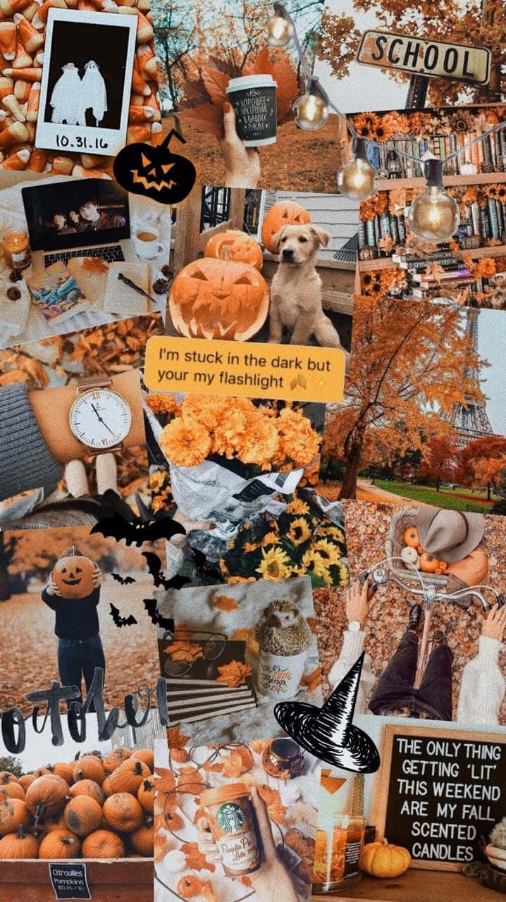 Fall Collage Desktop Lock Screen