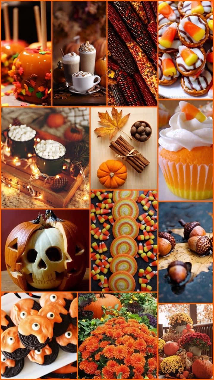 Fall Collage Desktop Theme Display Background