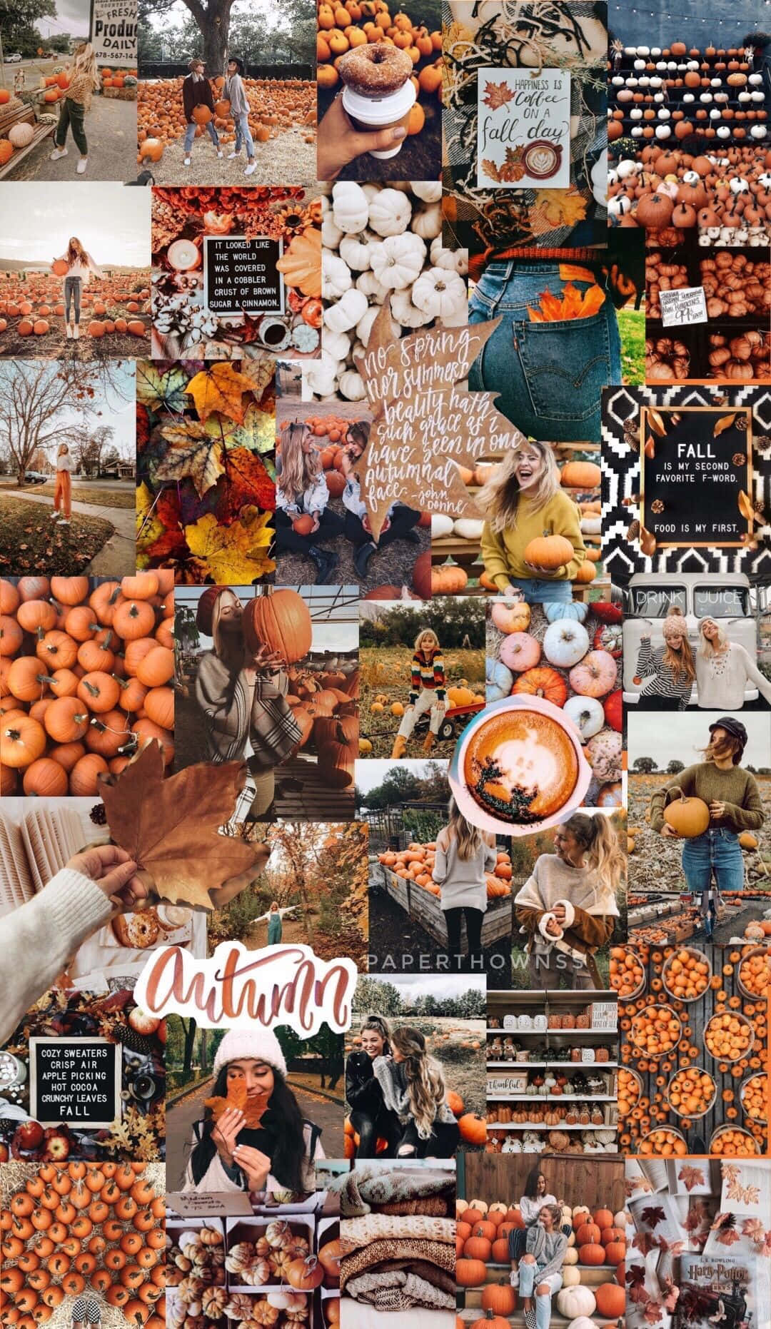 Fall Collage Orange And White Pumpkins Background