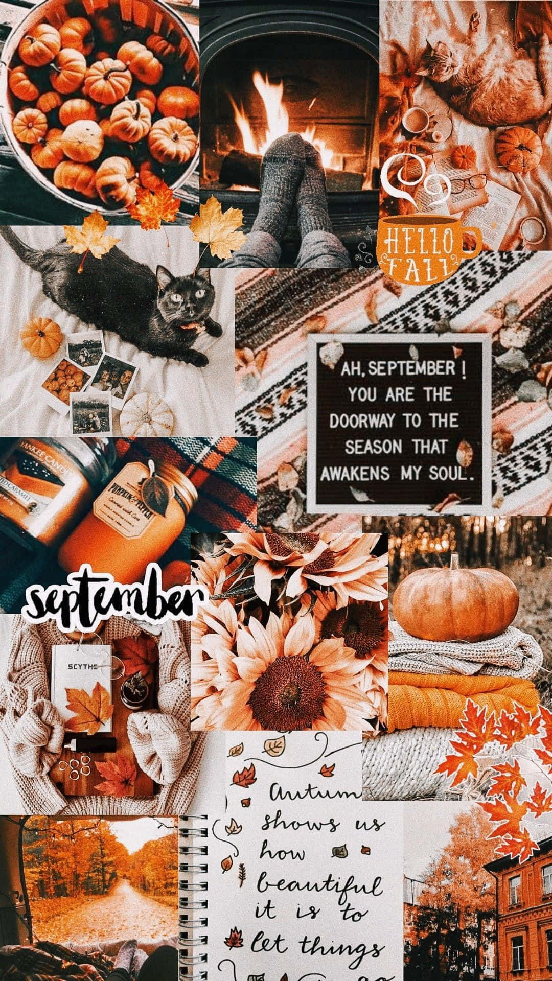 Fall Collage Pumpkins And Maple Leaves Background