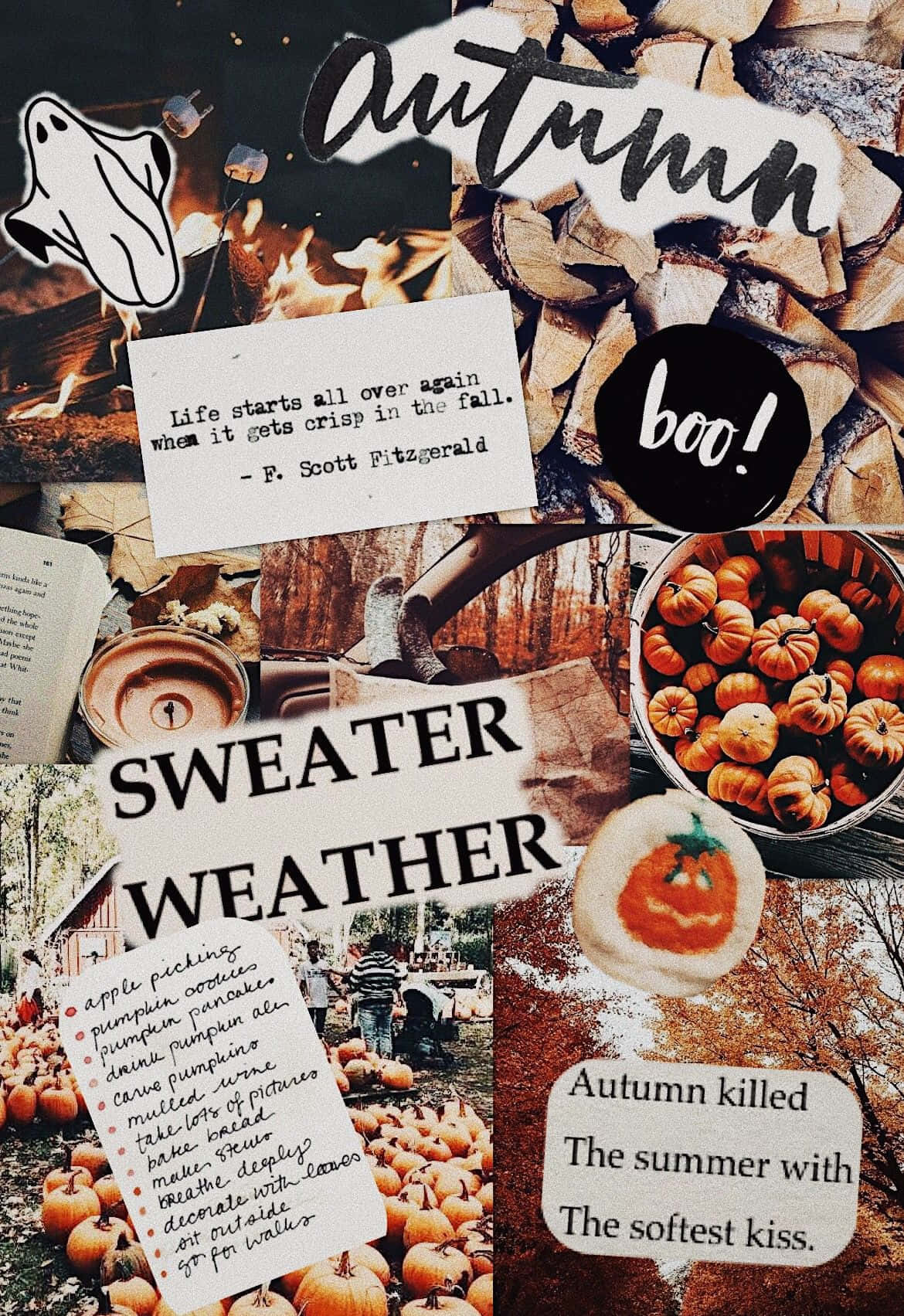 Fall Collage Smores And Hot Chocolate Background