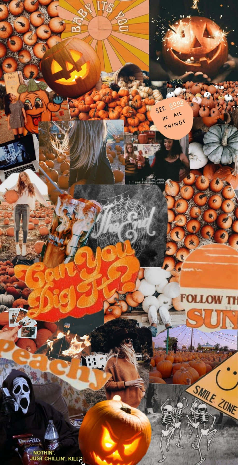 Fall Collage With Carved Pumpkins Background