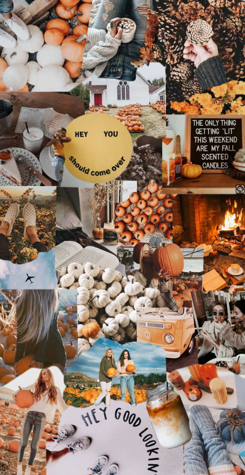 Fall Collage With White Pumpkins Background