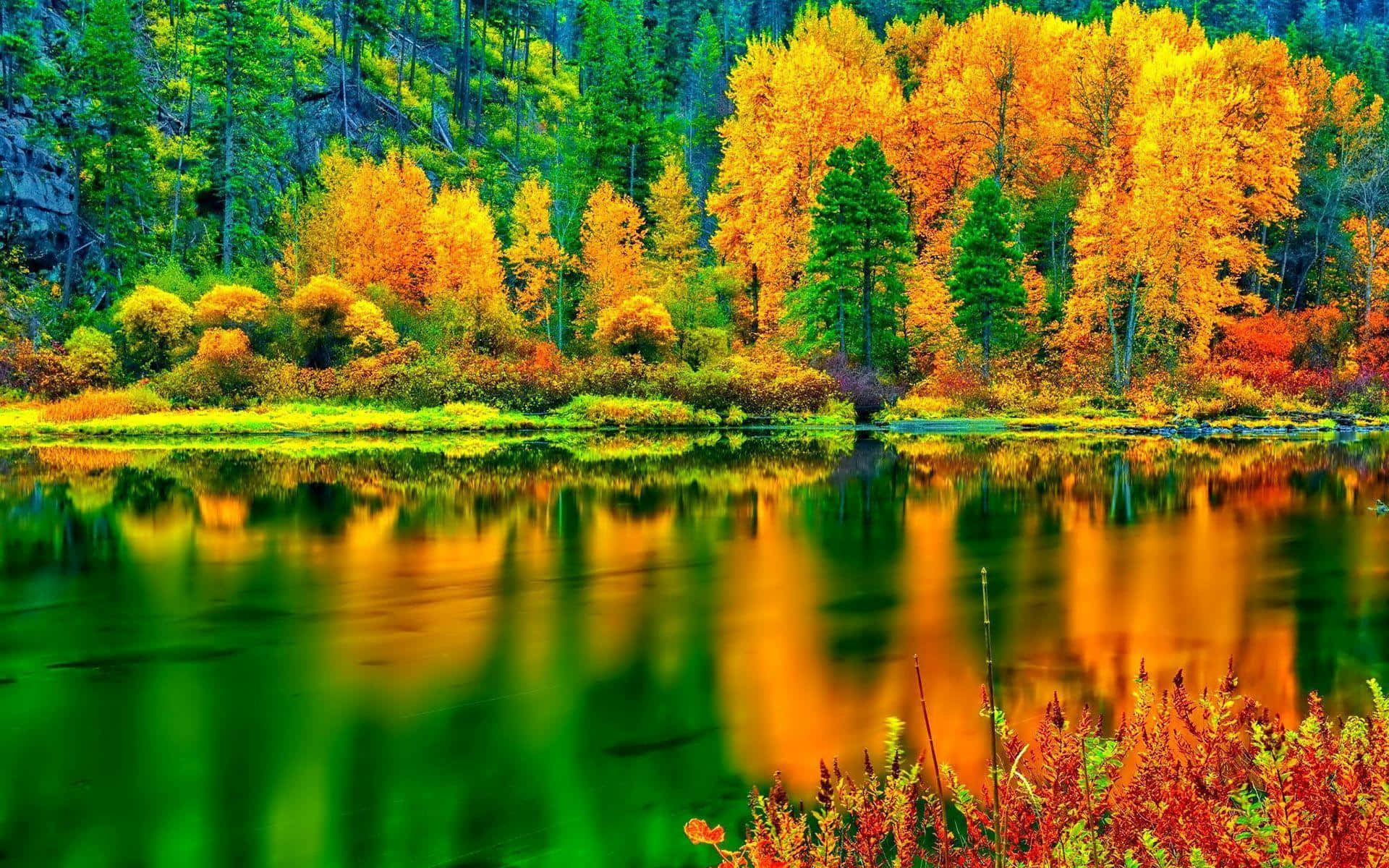 Fall Colors Trees By Lake Background