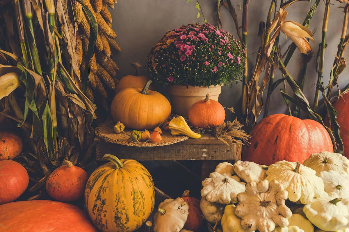 Fall Corner Table For Thanksgiving Background