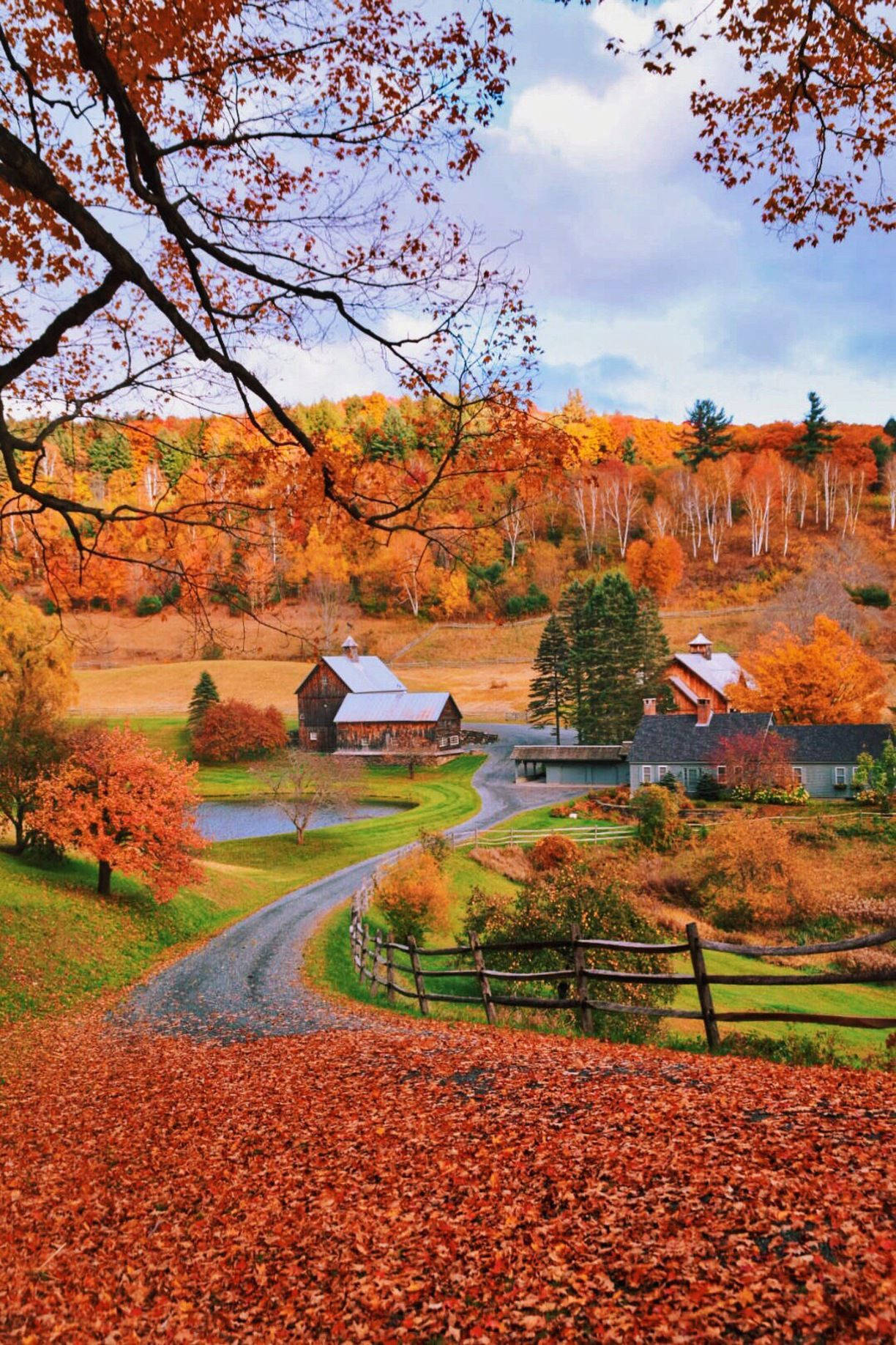 Fall Farm Orange Leaves Trees Background