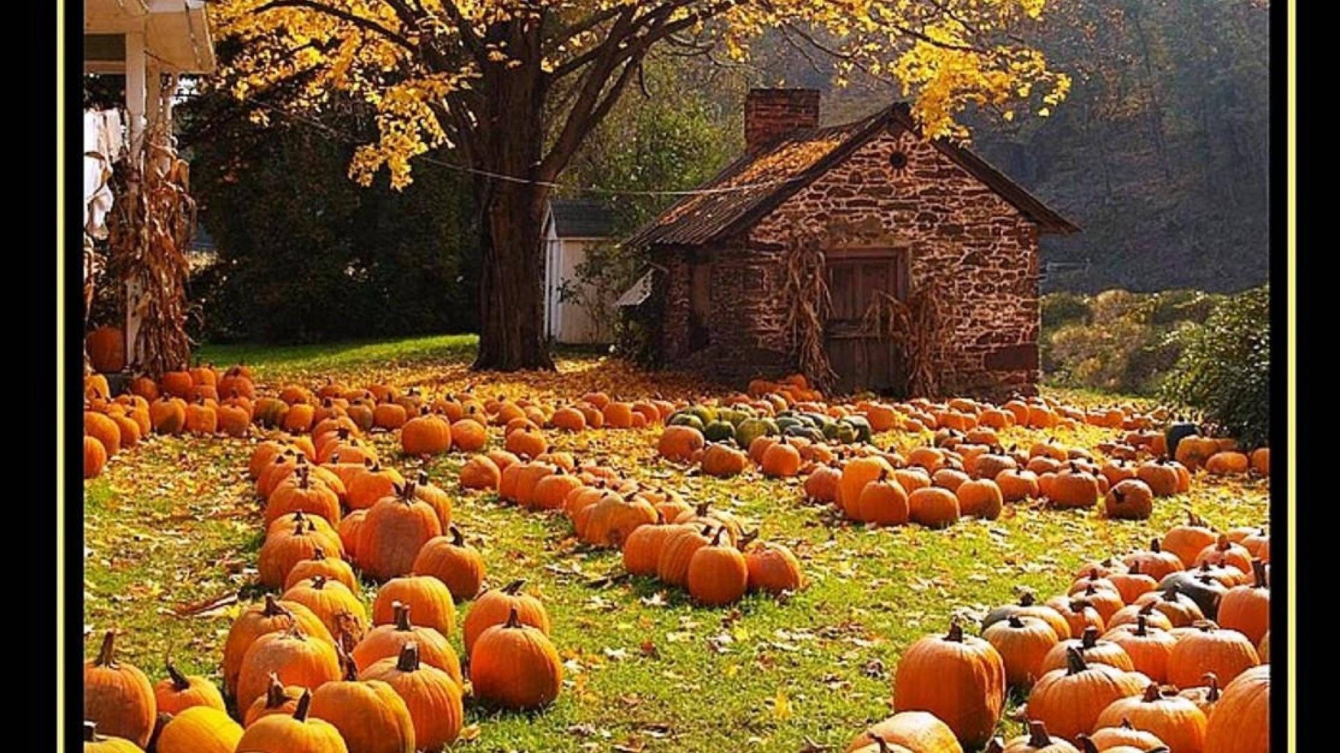 Fall Farm Orange Pumpkin Barn House Background