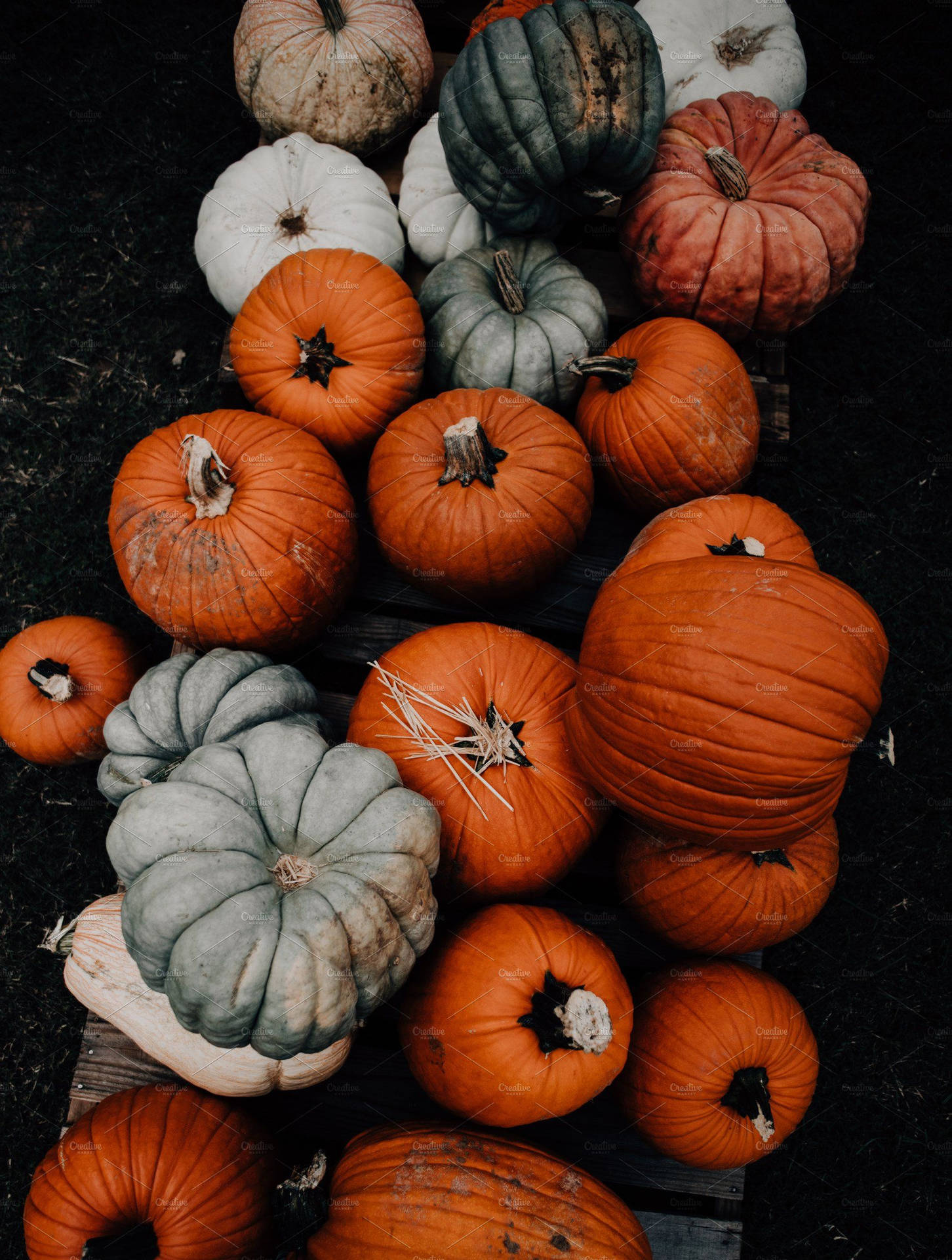 Fall Farm Pile Of Pumpkins Background