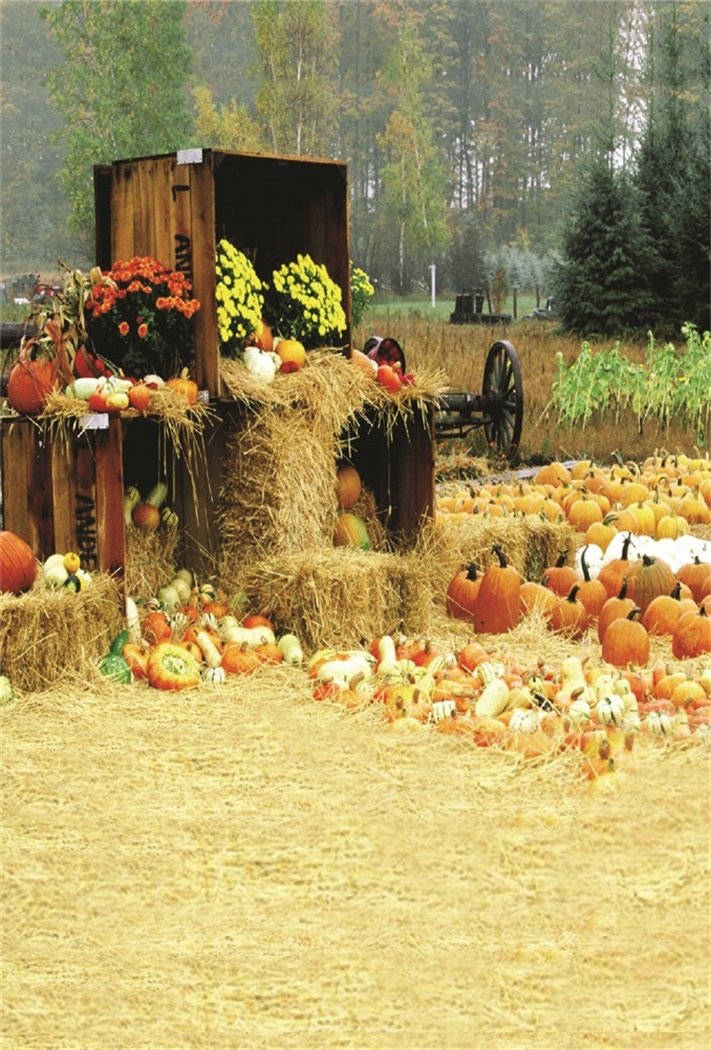 Fall Farm Pumpkin House Background