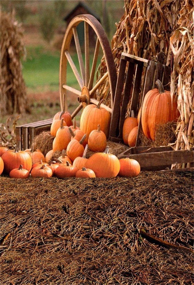 Fall Farm Pumpkin Wheel Ground Background