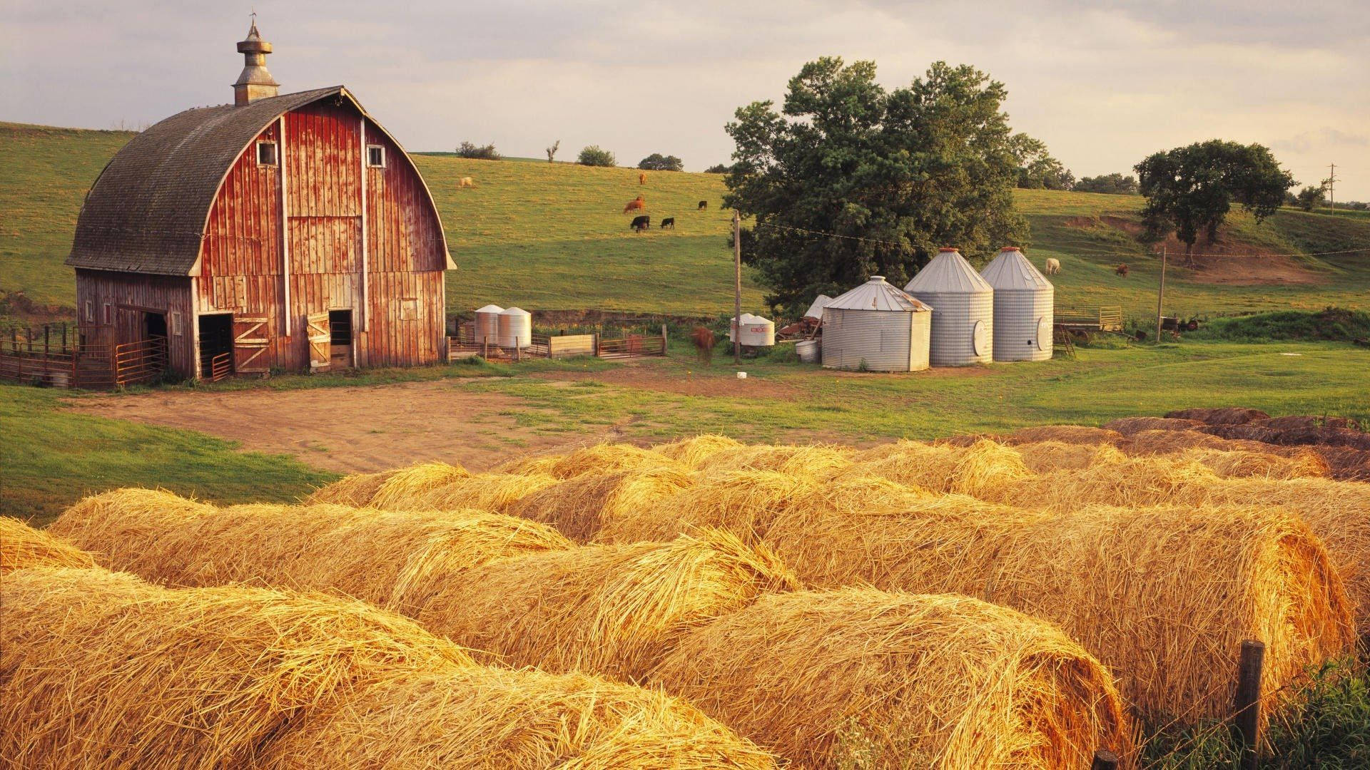 Fall Farm Red Barn Hay Background