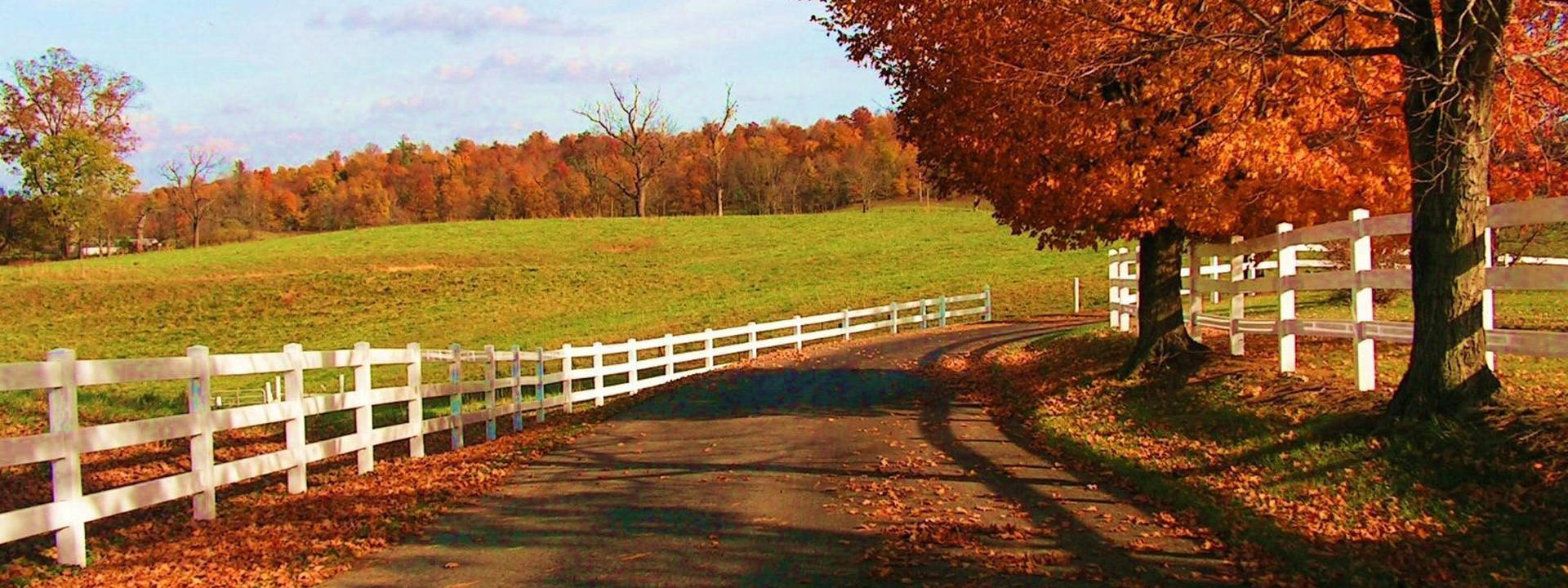 Fall Farm White Fence Road Background