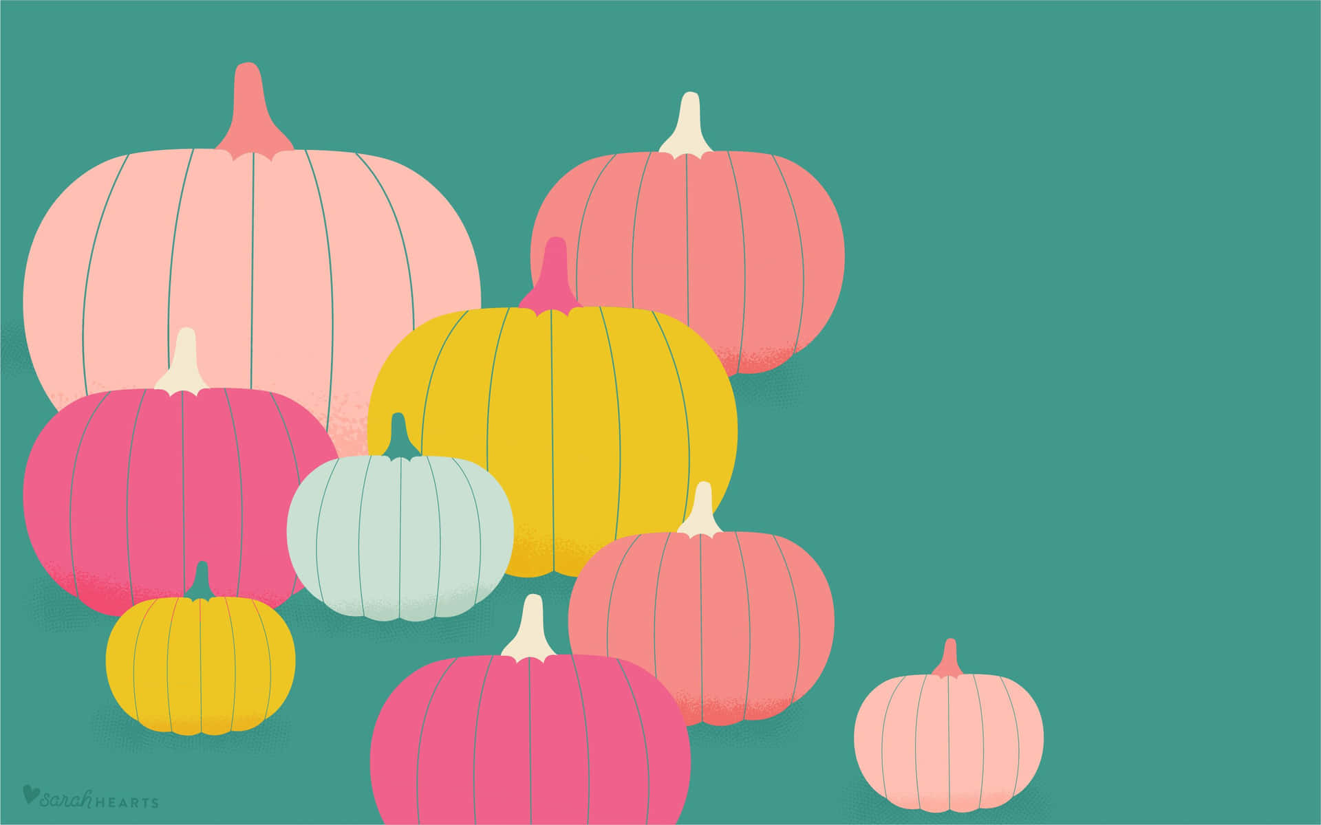 Fall Field Of Pink Pumpkins. Background