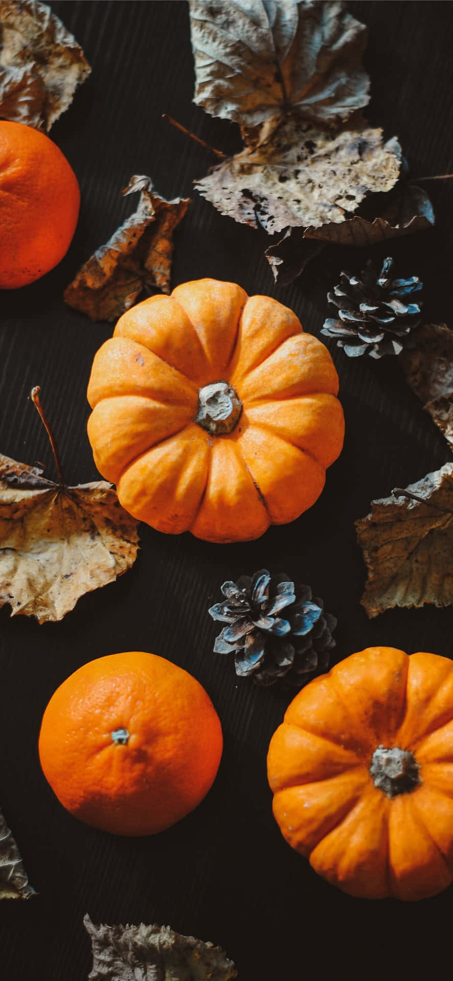 Fall Halloween Iphone Pumpkin Flat Lay Background