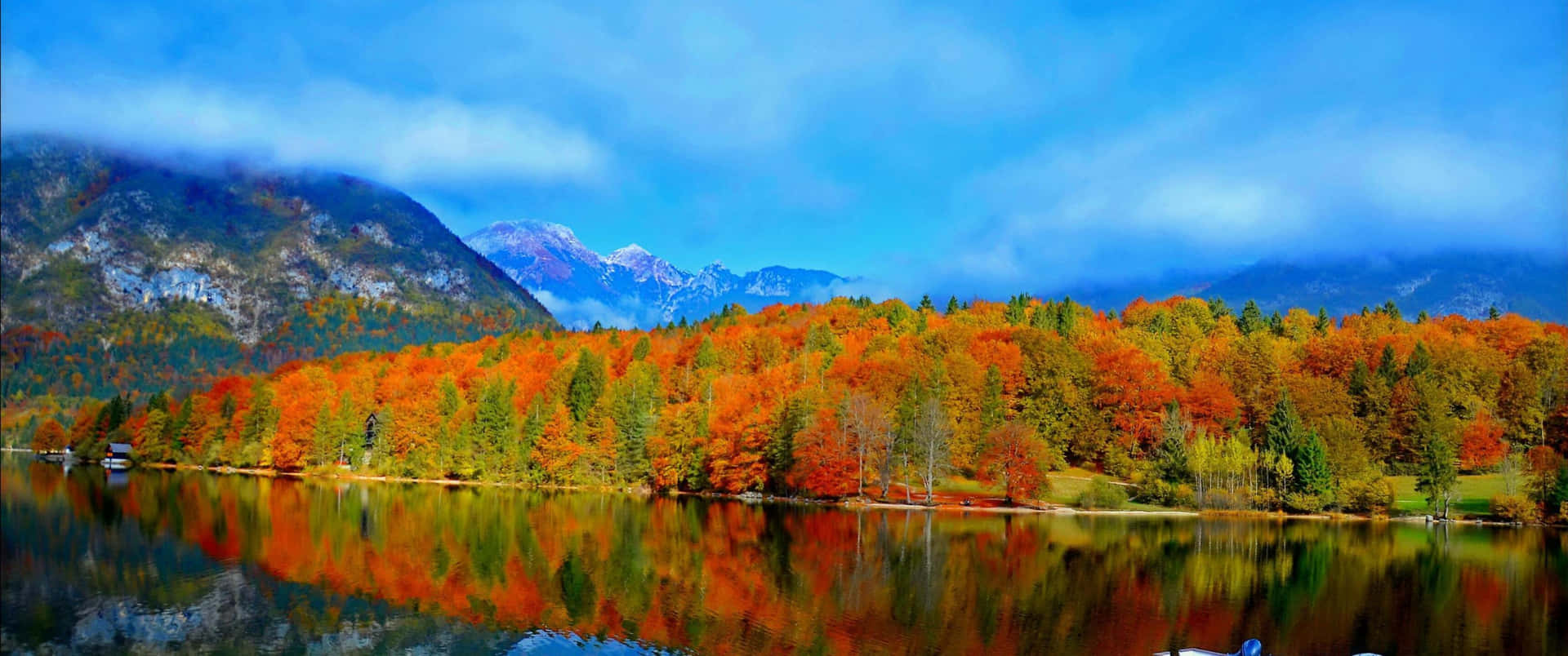 Fall In Full Brilliance