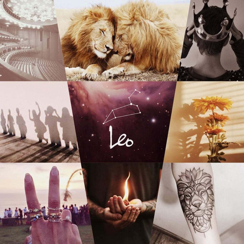 Fall In Love With Leo Aesthetics Background